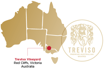 Treviso - Farm Map
